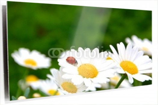 cartoon-wallpaper-22.jpg